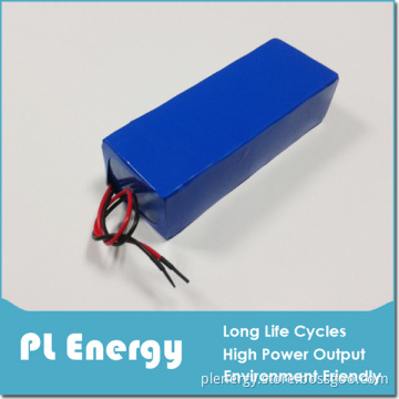 48V 10ah LiFePO4 Battery Pack for Electric Bike